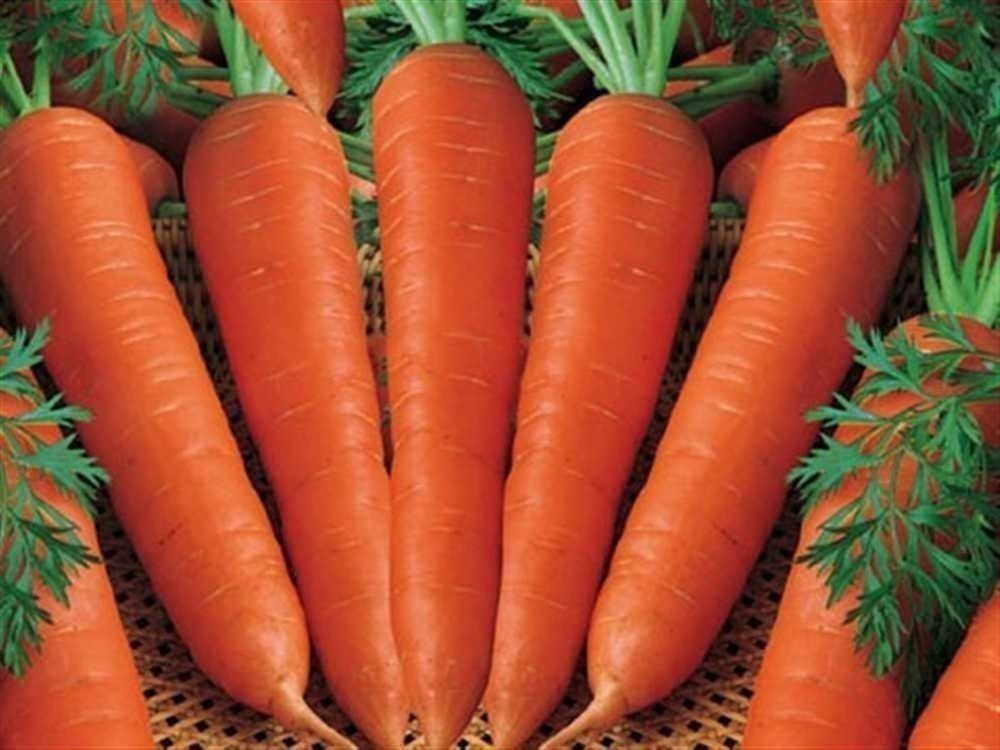 Морковные секреты
