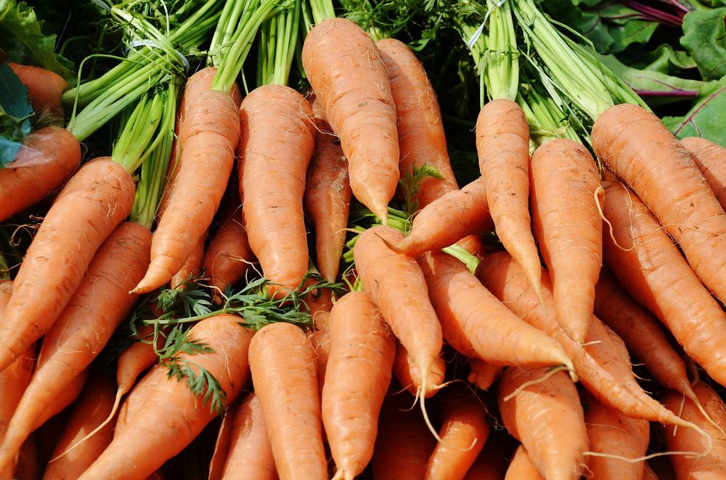 Сейте морковь правильно: действенный способ