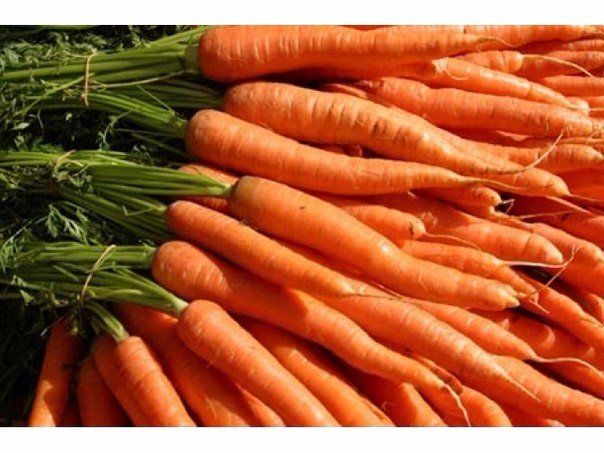 как правильно удобрять морковь