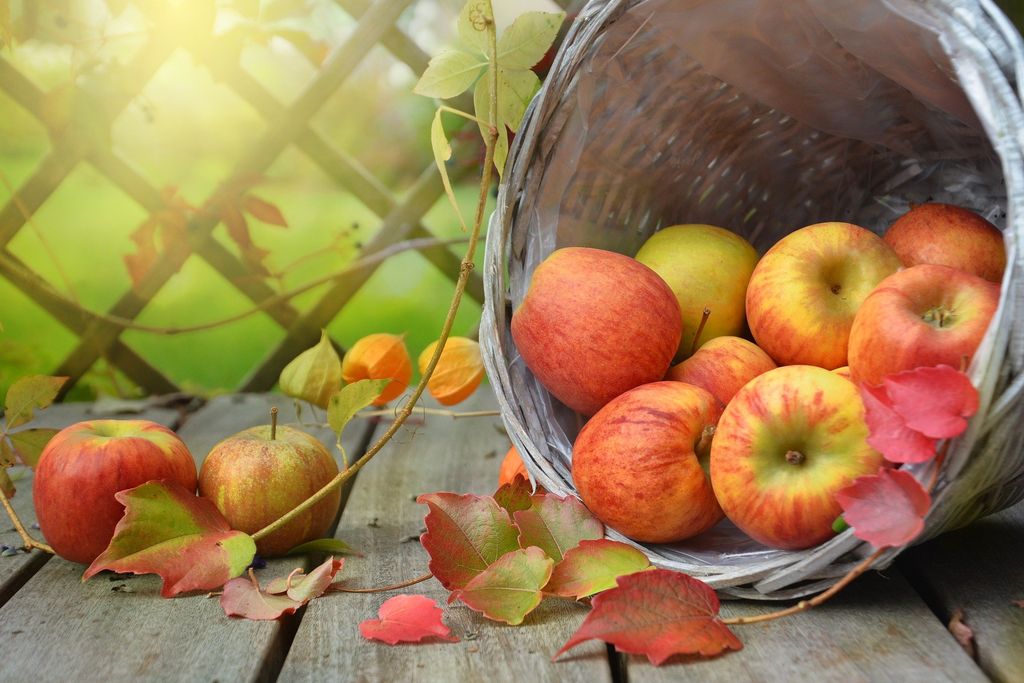 Рецепт моченых яблок 