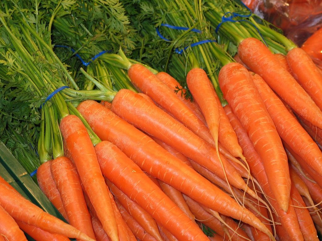 Домашняя морковная икра
