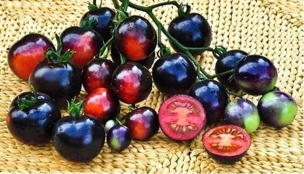 Популярные сорта черных томатов