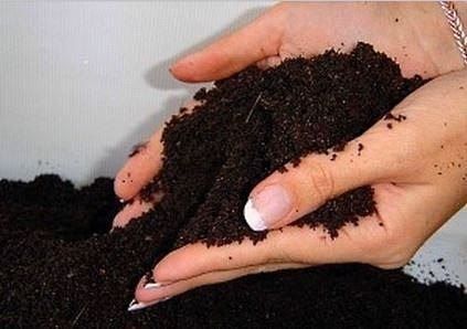 Как обеззаразить почву для рассады и цветов