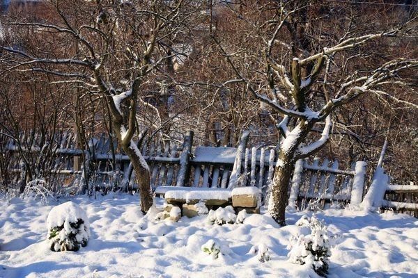 Где зимуют садовые и огородные вредители и как их обезвредить