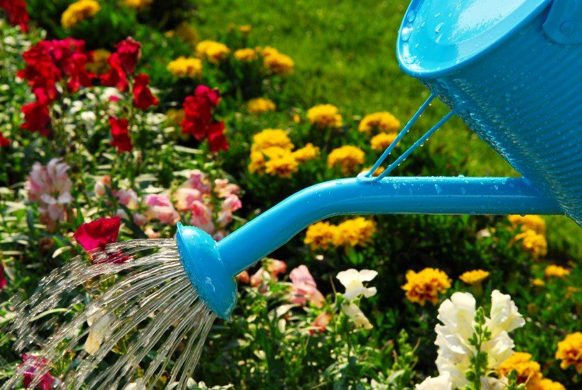  Как поливать растения, если ресурс воды ограничен