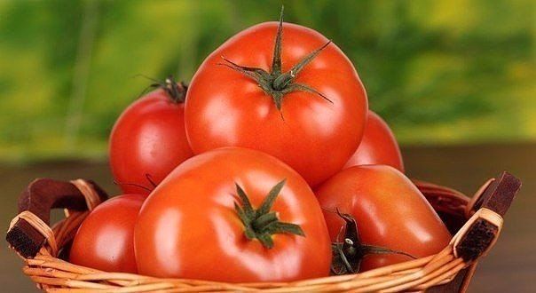 Что сделать для быстрого созревания томатов