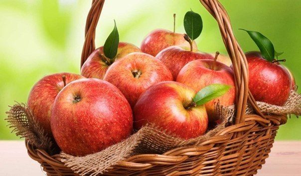 Лучшие зимостойкие сорта яблонь