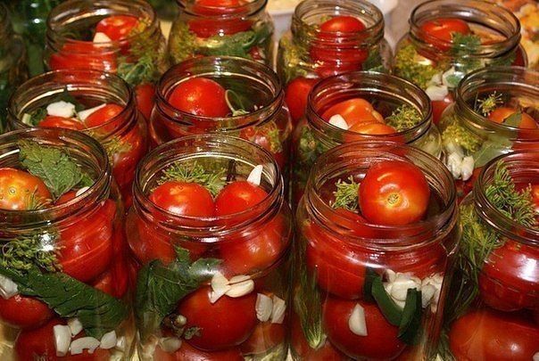 Заготовки томатов