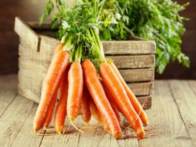 Как выбрать сорт моркови