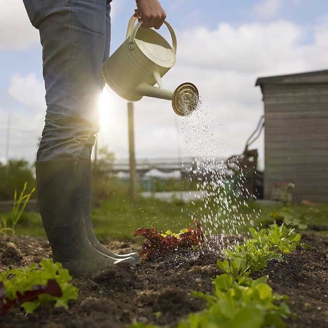 5 вещей, которые вы напрасно делаете в огороде