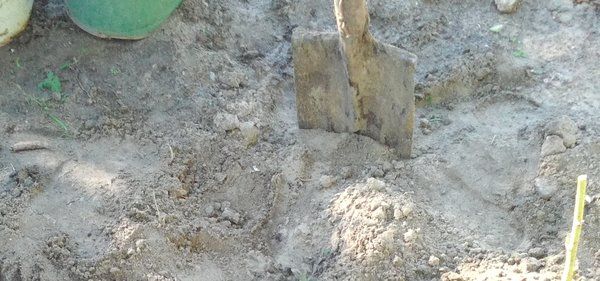 Песчаная почва: 4 способа улучшить структуру почвы