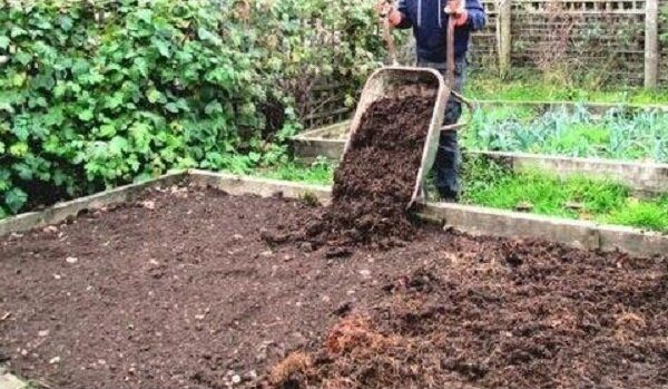 Как сделать землю на огороде рыхлой и мягкой
