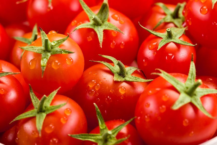 Как выращивать урожайные томаты