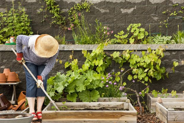 7 ошибок, которые совершают даже опытные садоводы