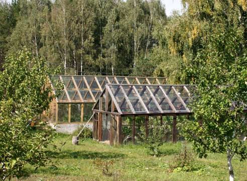 Теплица. Правила установки