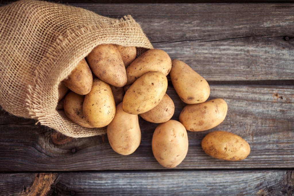 Как подготовить картофель к посадке