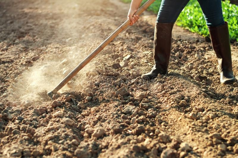 Как правильно подготовить почву к весенней посадке