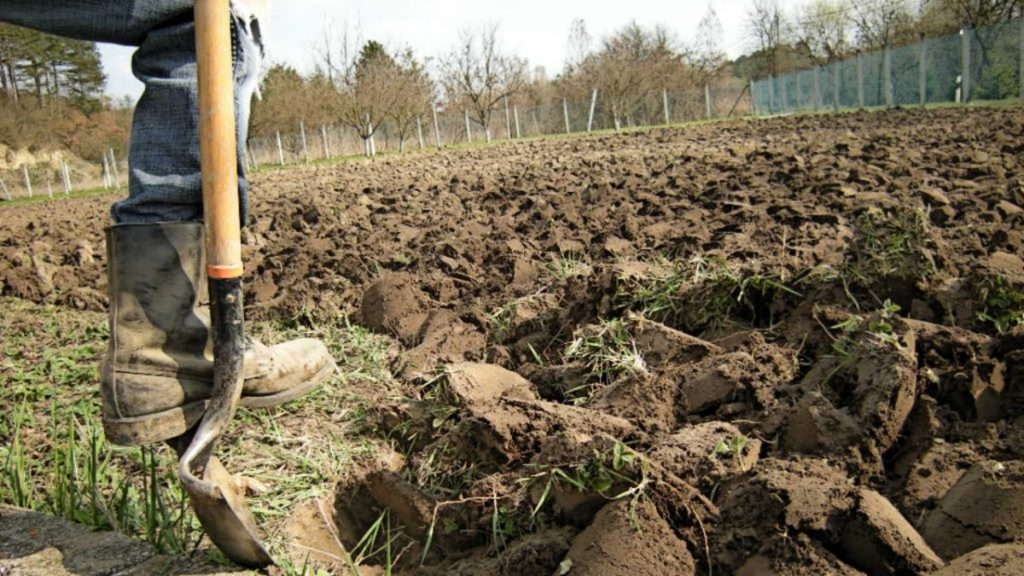 Обработка почвы перед посадкой