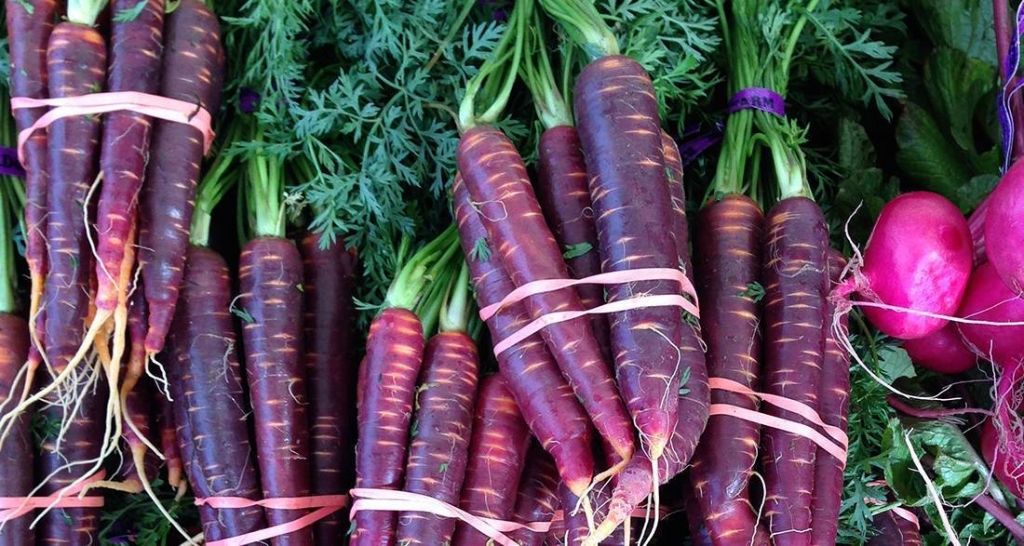 Тайна фиолетовой моркови