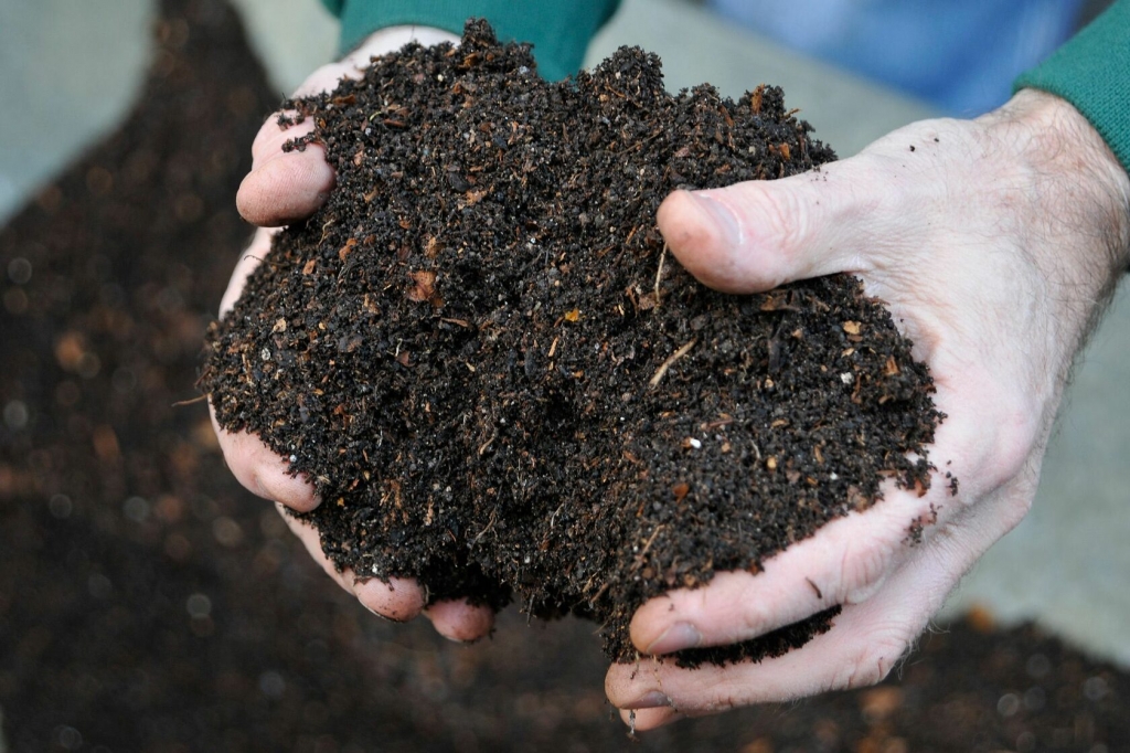 Раскрытие секретов компостирования для процветающих садов